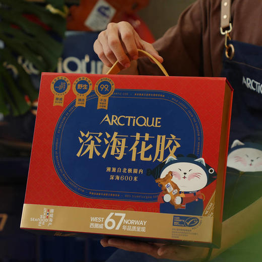 【MDL】ARCTiQUE 深海北极鳕鱼胶 165g 商品图1