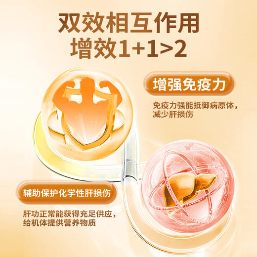 【会员特惠】华喜达中和鸿业牌灵芝姜黄胶囊化学性肝损伤增强免疫力养肝护肝 商品图3
