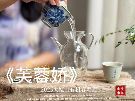 【新茶来了】2025有机春寿眉《芙蓉娇》、甜花香深遂得像一条花香遂道一般，漫长而幽深（80克）！ 商品图9