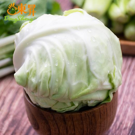 东升农场 有机水果甘蓝 青椰菜 蔬菜沙拉 有机蔬菜 广东配送 400g 商品图3