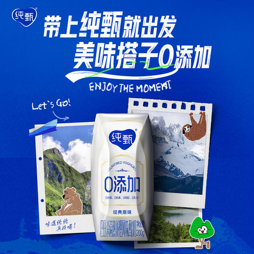 蒙牛纯甄0添加原味酸奶200g*10盒 商品图2