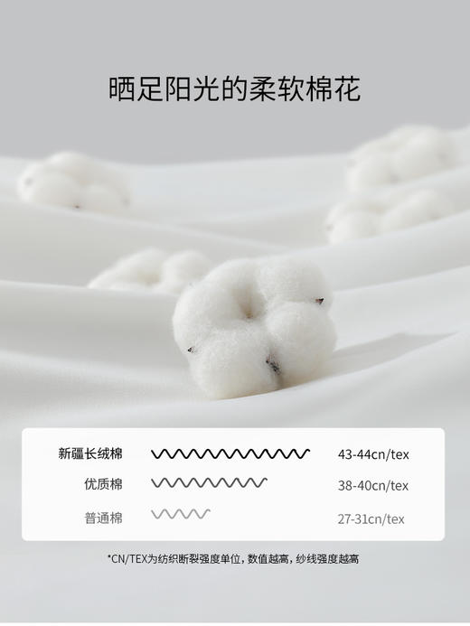 佳丽斯四件套100全棉纯棉四件套床单被套主卧印花亲肤软糯 商品图2