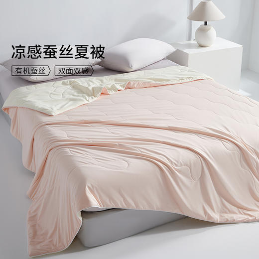 佳丽斯空调蚕丝芯双面缎面桑蚕丝夏空调被 商品图9