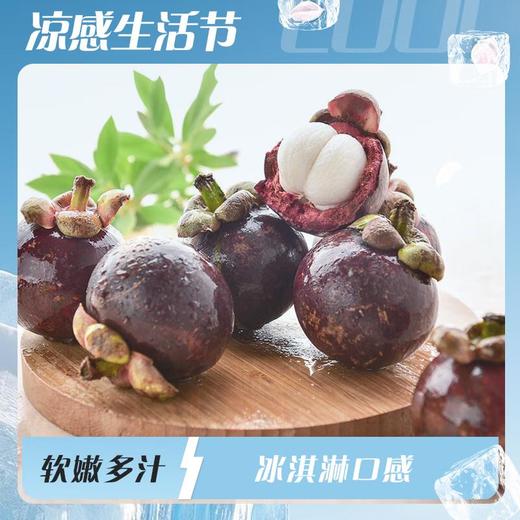 泰国麻山竹 480g/份 商品图0