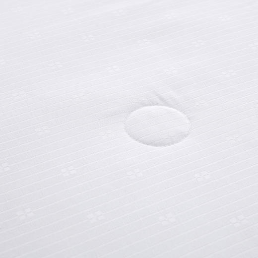 BOSS 提花蚕丝被HBCS-009 商品图6