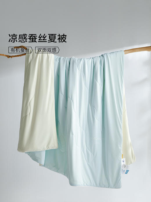 佳丽斯空调蚕丝芯双面缎面桑蚕丝夏空调被 商品图1