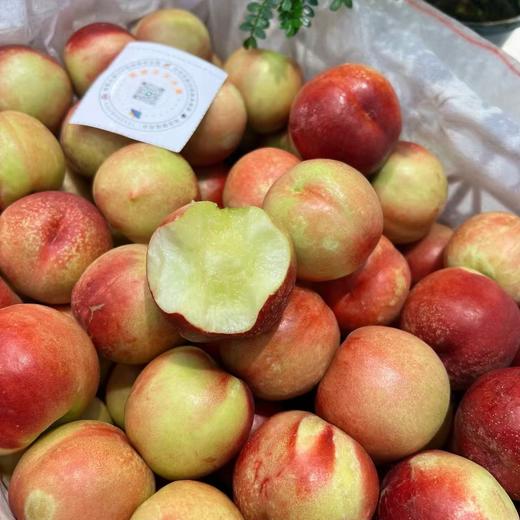 新疆珍珠枣蜜桃 油桃 商品图9