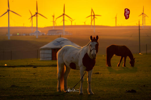 《再见爱人》同款||内蒙古大红山、黄花沟草原、乌兰哈达火山地貌、黄河老牛湾、涝利海、谷力脑包火山石柱、悬空寺、大同土林、云冈石窟8天摄影团 商品图5