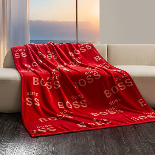 BOSS 双面加厚牛奶绒毯HBMT-032 商品图0
