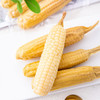 🌽西双版纳香糯小玉米🌽非转基因，既糯又甜的珍珠小玉米 商品缩略图0
