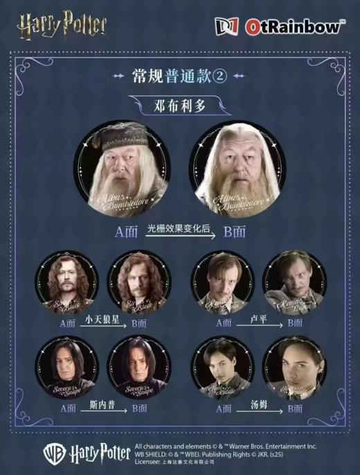 哈利波特 春风化雨 吧唧 徽章 10包/盒 国谷 商品图3