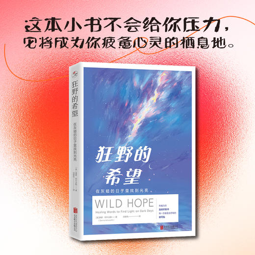 狂野的希望：在灰暗的日子里找到光亮 | 有魔力的及时疗愈书，每一页都是会呼吸的创可贴 商品图2