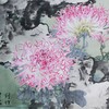 叶泉《菊花》国画原作48CM*48CM 手绘宣纸花卉作品 商品缩略图4
