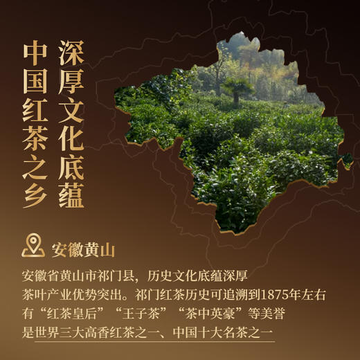 正山堂骏眉中国 祁红毛峰 正宗安徽祁门红茶口粮茶叶罐装自饮自己喝 商品图5