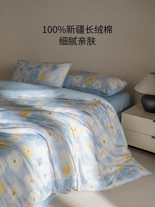佳丽斯四件套100全棉纯棉四件套床单被套主卧印花亲肤软糯 商品图1