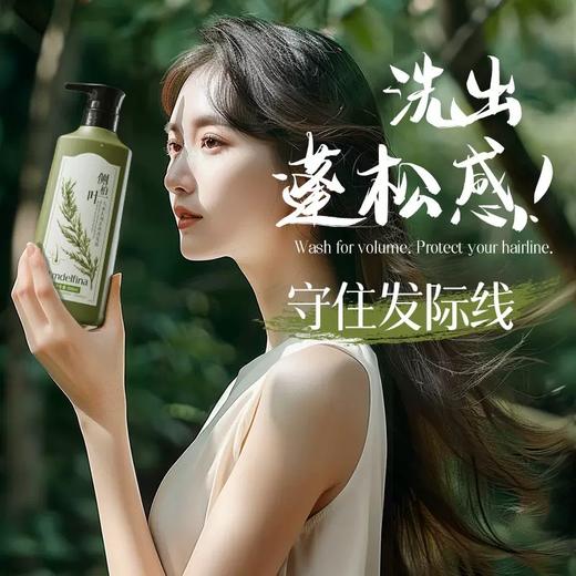 买一送一【侧柏叶人参去屑止痒洗发水 】清爽控油 去屑止痒 柔顺修护 莹润发丝 500ML大容量 商品图1