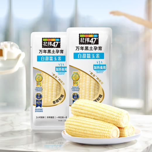 【北纬47度白糯玉米】220g*10穗 真空锁鲜 玉米原香浓郁 软糯Q甜 商品图1
