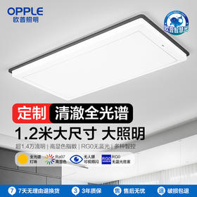 OPPLE欧普照明霜月客厅1.2m大尺寸现代简约新中式吸顶灯套餐