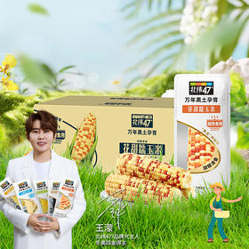 【北纬47度花糯玉米】200g*10穗 粒粒饱满 金黄鲜软 低脂粗膳食 软糯香嫩
