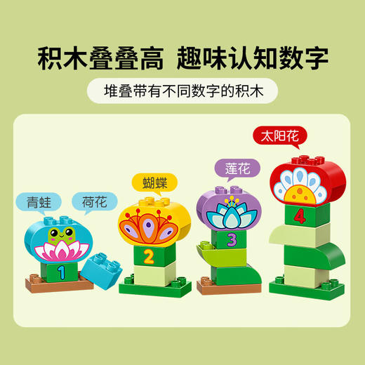 乐高LEGO 创意花园LEGC10444 商品图5