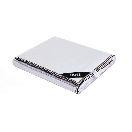 BOSS 提花蚕丝被HBCS-009 商品图4