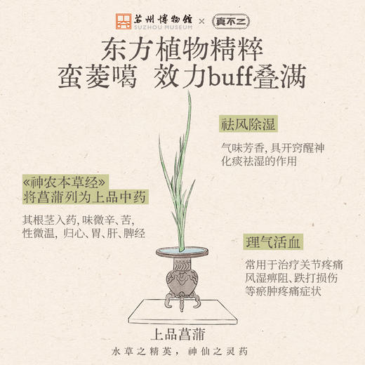 【苏州博物馆×真不二】新品菖蒲路路通手腕贴（5片/盒） 商品图3