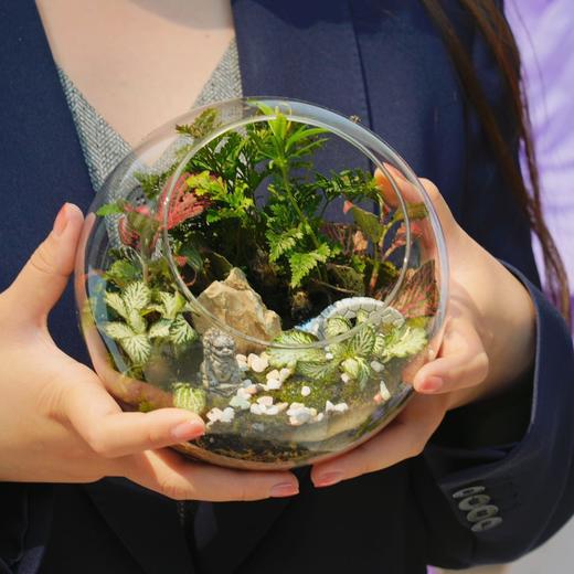 微景观DIY 商品图1