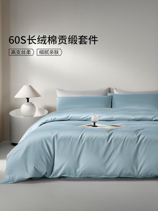 佳丽斯60支纯棉四件套床上用品2025新款 商品图0