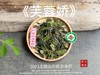 【新茶来了】2025有机春寿眉《芙蓉娇》、甜花香深遂得像一条花香遂道一般，漫长而幽深（80克）！ 商品缩略图1