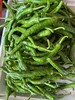 湖南自然农法蔬菜系列 （蔬菜包由农场自主搭配，请注明不要的菜，如：不要辣椒） 商品缩略图3