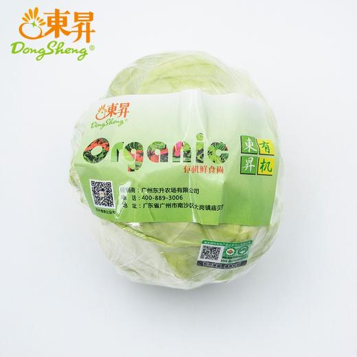 东升农场 有机水果甘蓝 青椰菜 蔬菜沙拉 有机蔬菜 广东配送 400g 商品图1