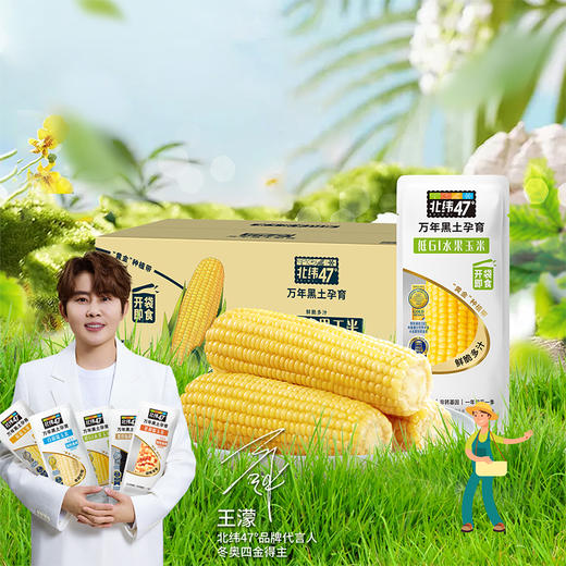 【北纬47度水果玉米】220g*10穗 健康粗粮 甜而不腻 香甜多汁 味道鲜美 商品图0