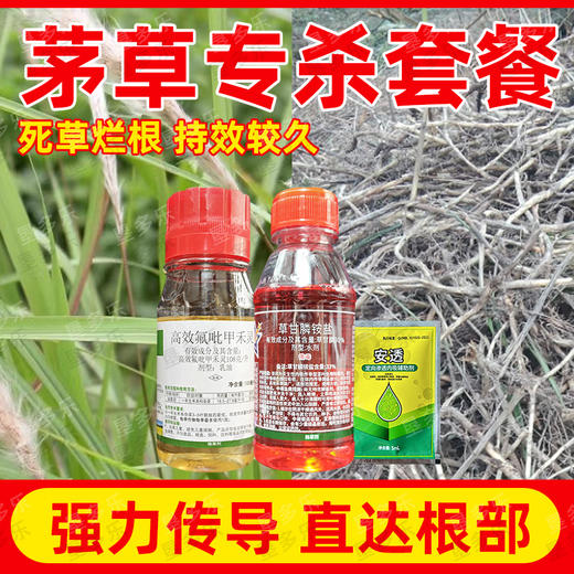 顽固茅草游草芦苇专杀套餐除草剂死根灭草剂一年生禾本科杂草专用 商品图3