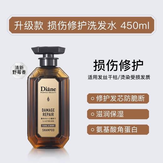 黛丝恩致美护发素损伤修护450ml 商品图0