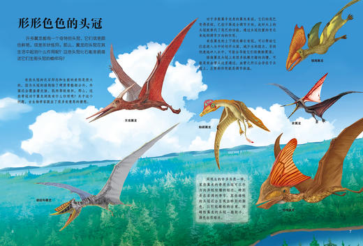 《生命简史：穿越地球46亿年》（全12册） 商品图10