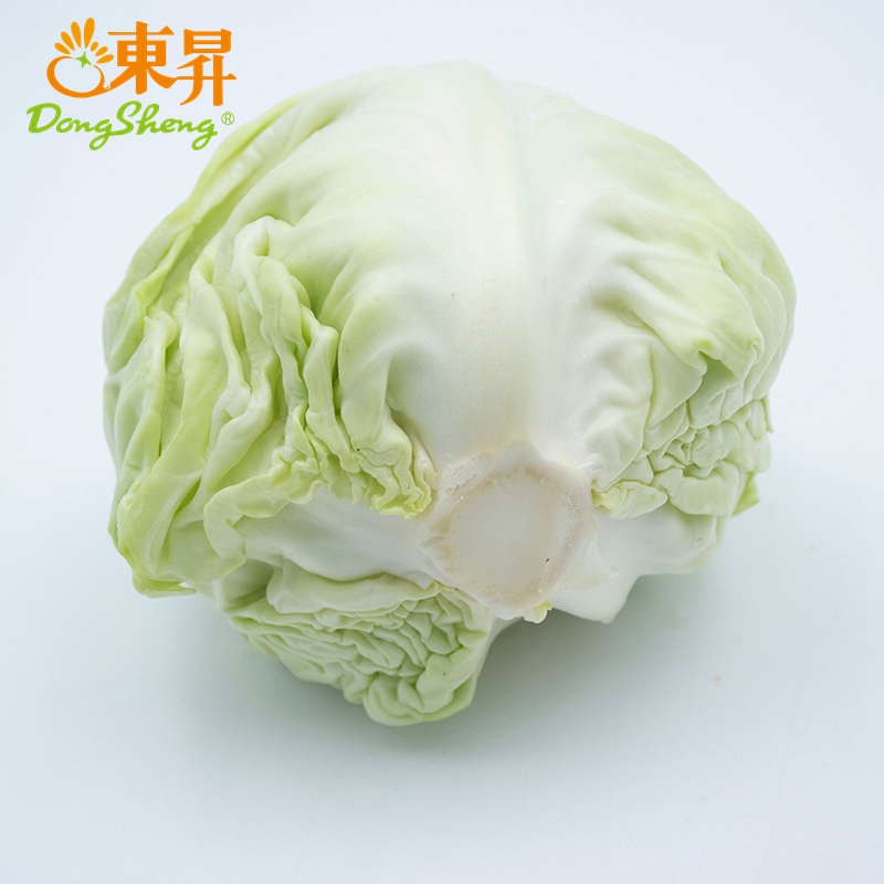 东升农场 有机水果甘蓝 青椰菜 蔬菜沙拉 有机蔬菜 广东配送 400g