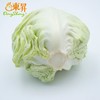东升农场 有机水果甘蓝 青椰菜 蔬菜沙拉 有机蔬菜 广东配送 400g 商品缩略图0