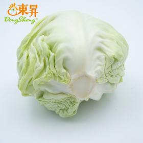 东升农场 有机水果甘蓝 青椰菜 蔬菜沙拉 有机蔬菜 广东配送 400g