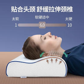 佳奥记忆枕慢回弹颈椎枕成人记忆棉枕头芯深睡眠酒店单双人释压午休枕 波浪曲线款50*30*10/7CM