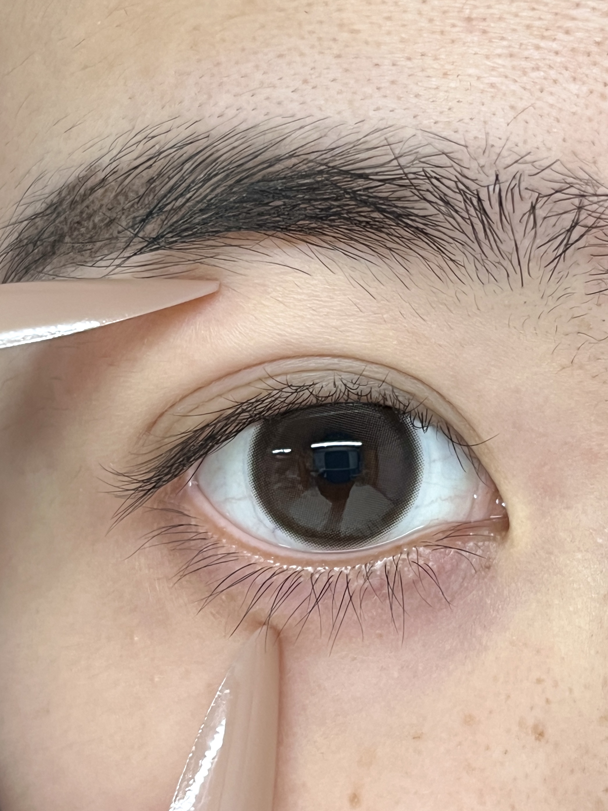 fully gift 半年抛美瞳 决心定时 14.2mm