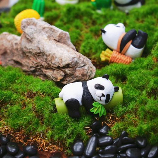 微景观DIY 商品图3