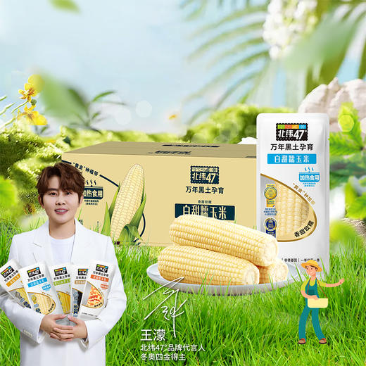 【北纬47度白糯玉米】220g*10穗 真空锁鲜 玉米原香浓郁 软糯Q甜 商品图0