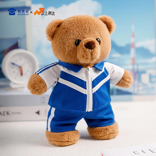【实付满199送钥匙扣】【校服小熊】可定制创意毛绒小熊公仔儿童玩具服装可脱送礼学生礼物 商品图6