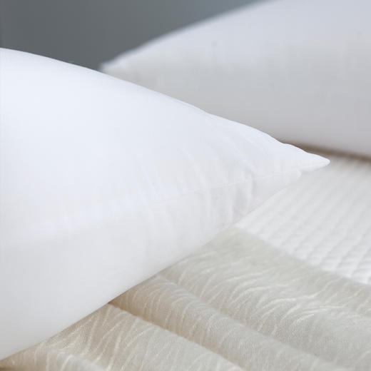 【梦洁臻柔享梦对枕890260】48*74cm*2个 饱满蓬松 透气吸湿 商品图2