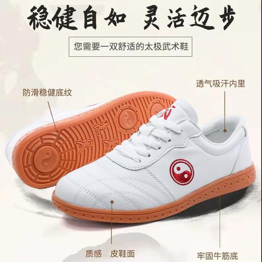 太极鞋软皮牛筋底武术训练鞋男款女款透气太极拳练功鞋 商品图0