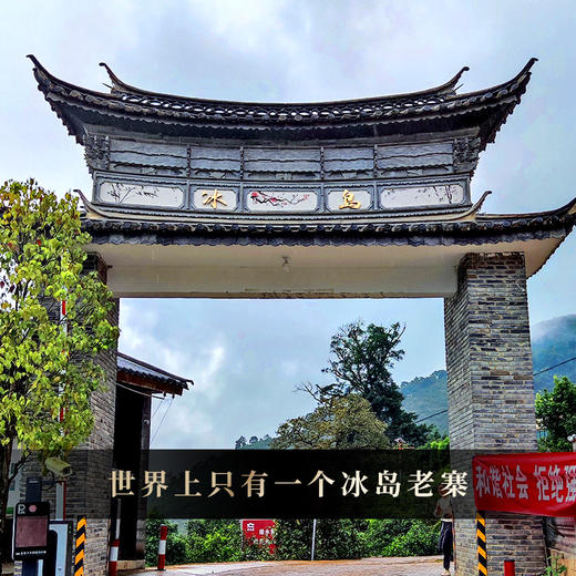 【十年陈傣陶冰岛老寨】2015年茶后冰岛老寨与云南非遗的完美结合，赔钱补贴助理傣陶复兴，每罐净含量：800克/罐 商品图7