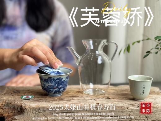 【新茶来了】2025有机春寿眉《芙蓉娇》、甜花香深遂得像一条花香遂道一般，漫长而幽深（80克）！ 商品图8