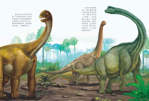 《生命简史：穿越地球46亿年》（全12册） 商品图7