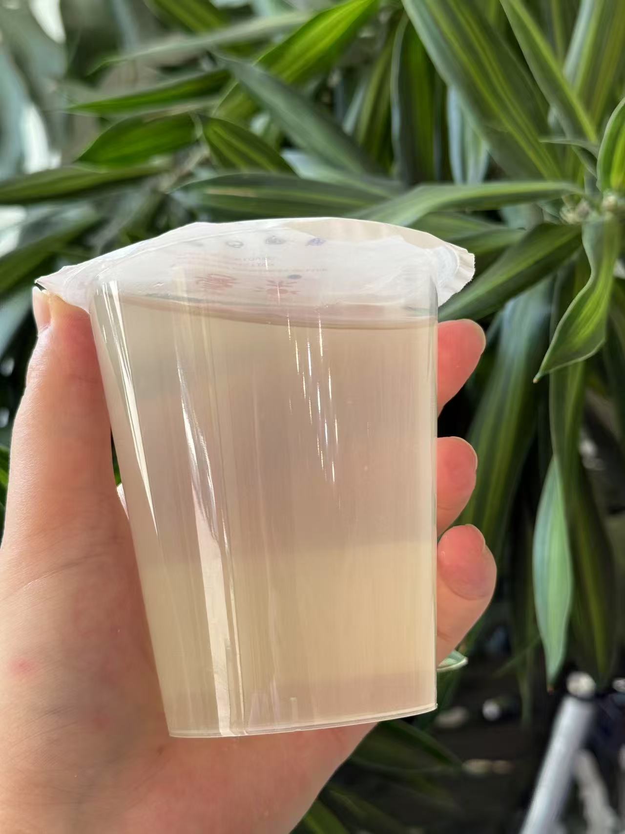 泰国香水椰青汁