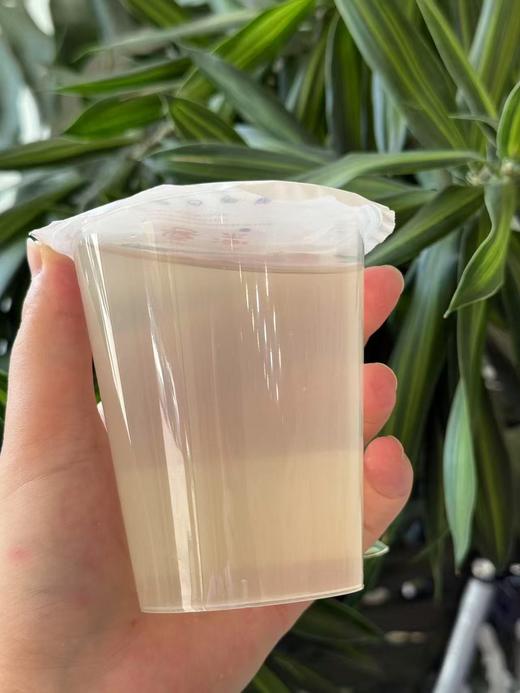 泰国香水椰青汁 商品图0